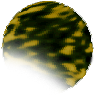 Zo